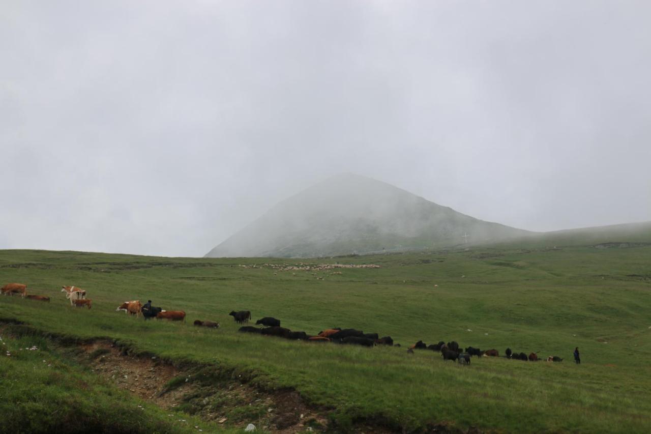 Cabana Transalpina Ranca Exterior foto
